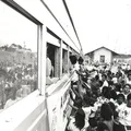 ‘Expresso Ver de Trem’ resgata memória ferroviária brasileira imagem