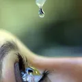 Falta de acesso e abandono do tratamento agravam doenças oculares no Brasil imagem