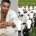 Fortuna de Davi Brito com venda de gado vem à tona; saiba valor imagem