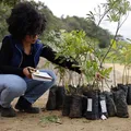 ‘Guardiões das Águas’ protege nascentes e transforma vidas imagem