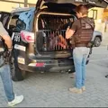 Líder do Jogo do Bicho preso na Bahia foi investigado com assassino de Marielle imagem