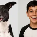 Saiba como transformar o seu cachorro em humano no ChatGPT imagem