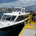 Salvador passa a contar com transporte marítimo direto para Boipeba imagem