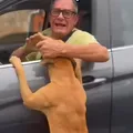Vídeo: homem é acusado de abandonar cachorro em rua de Salvador imagem