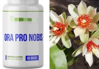 Anvisa proíbe medicamentos a base de Ora-pro-nóbis; saiba porquê imagem