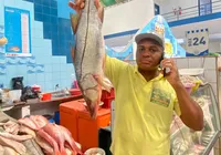 Bacalhau tá caro? Confira valores e opções para substituir o pescado imagem