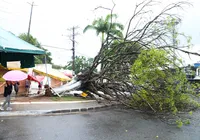 Árvores caídas, alagamentos, deslizamentos: chuva traz caos a Salvador imagem