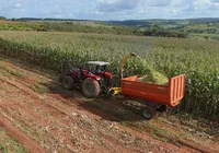 Cidade baiana é uma das melhores do país para investir em Agropecuária