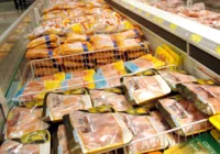 Preços de frango e ovo devem subir com suspensão de exportações imagem