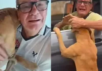 Empresário acusado de abandonar cachorro em Salvador se pronuncia imagem