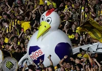 Libertadores: entenda por que time que enfrentará Bahia é chamado de 'Galinha' imagem