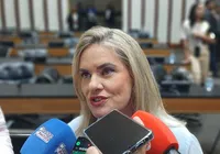 Trabalho das Comissões serão levados ao plenário, promete Ivana imagem