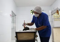 Maquiadora de mortos: baiana explica trabalho conservando corpos imagem