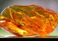 Pedra preciosa de R$ 6,2 milhões era usada como peso de porta imagem