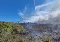 "Não era para estar queimando tanto", diz bióloga sobre incêndios na Chapada imagem