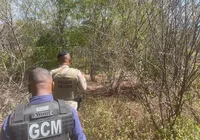 Ossada humana é encontrada acorrentada em matagal na Bahia imagem