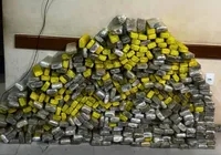 PM apreende quase 300 kg de maconha em Eunápolis imagem