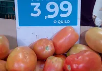 Apesar de alta nacional, preço do tomate cai e surpreende em Salvador imagem