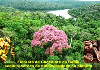 Projeto Cacau+ imagem