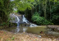 Quatro cachoeiras perto de Salvador que você pode ir em um dia imagem