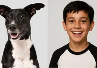 Saiba como transformar o seu cachorro em humano no ChatGPT imagem