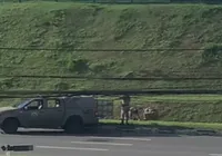 Homem morre após tiroteio na Av. Paralela; veja vídeo imagem