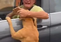 Vídeo: homem é acusado de abandonar cachorro em rua de Salvador imagem