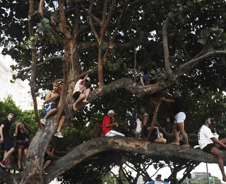 Cambistas cobram até R$ 5 mil por espaço vip em show de Lady Gaga