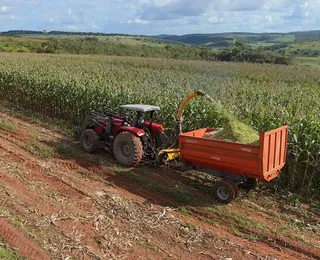 Cidade baiana é uma das melhores do país para investir em Agropecuária