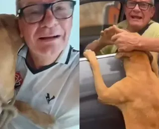 Empresário acusado de abandonar cachorro em Salvador se pronuncia