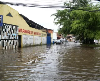Fortes chuvas: Codesal registra mais de 60 ocorrências nesta terça