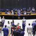 Câmara aprova projeto que estimula permanência de jovens no campo imagem
