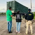 PRF descobre transporte secreto de 2 mil frangos vivos na Bahia imagem