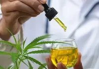 Cannabis medicinal: saiba como planta é aliada em tratamentos de saúde imagem