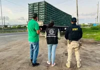 PRF descobre transporte secreto de 2 mil frangos vivos na Bahia