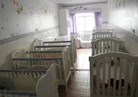 Saiba o que muda após sanção da Lei do Luto Parental imagem