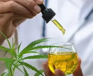 Cannabis medicinal: saiba como planta é aliada em tratamentos de saúde - Imagem