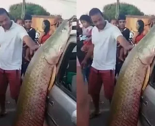 Peixe gigante com 92kg e mais de dois metros é capturado na Bahia