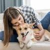O que a psicologia diz sobre pessoas que sempre acariciam cães? - Imagem