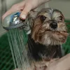Este é o erro que você pode estar cometendo ao dar banho no seu cachorro - Imagem