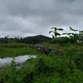 Acelen é autuada por suspeita de crime ambiental imagem