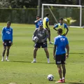 Bahia está escalado com força máxima para enfrentar o Bragantino imagem