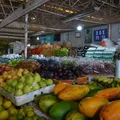 Ceasa do Ogunjá já tem data para voltar a funcionar imagem