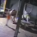 Criança de 2 anos pega arma do pai e mata a mãe com tiro acidental; veja vídeo imagem