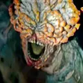 Fungo da série The Last of Us vai infectar humanos? Entenda nova descoberta da ciência imagem