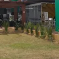 Linha de fertilizante vai ser apresentada na Bahia Farm Show 2025 imagem