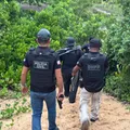 Polícia mira integrantes de facção que mataram músicos do Malê Debalê imagem