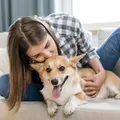 O que a psicologia diz sobre pessoas que sempre acariciam cães? imagem