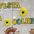 São João virou Festa da Colheita: a polêmica decisão de escolas na Bahia imagem