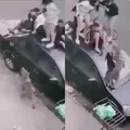 Vídeo: ataque de pitbull faz crianças subirem em teto de carro imagem